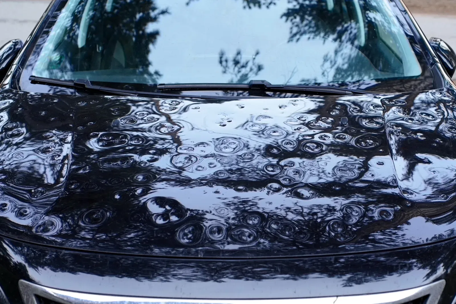 Hail & Storm Damage — Collision Auto Center, North York